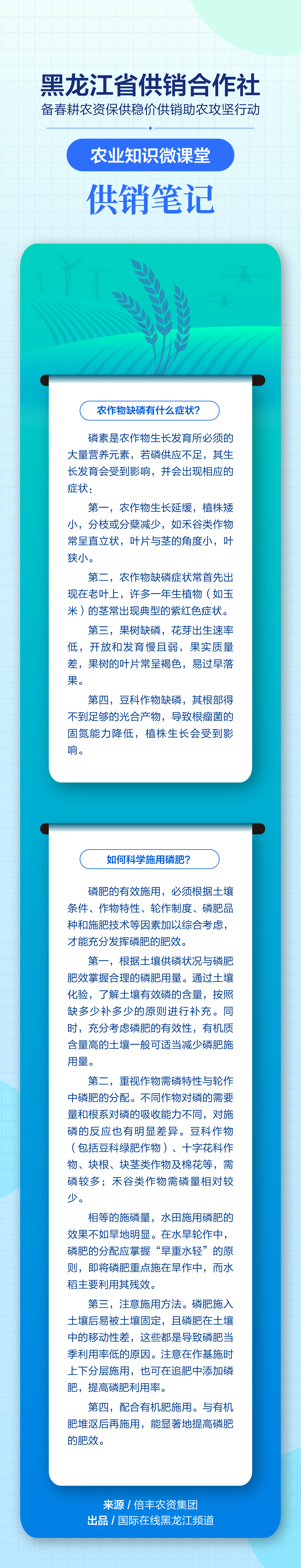 農作物缺磷有什麼症狀？如何科學施用磷肥？“供銷筆記”為您答疑_fororder_333334