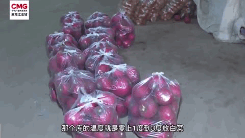 主城區實行社會靜態化管理 探訪哈爾濱市如何守護百姓的“菜籃子”