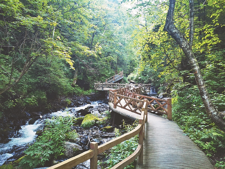 鳳凰山 惹人醉