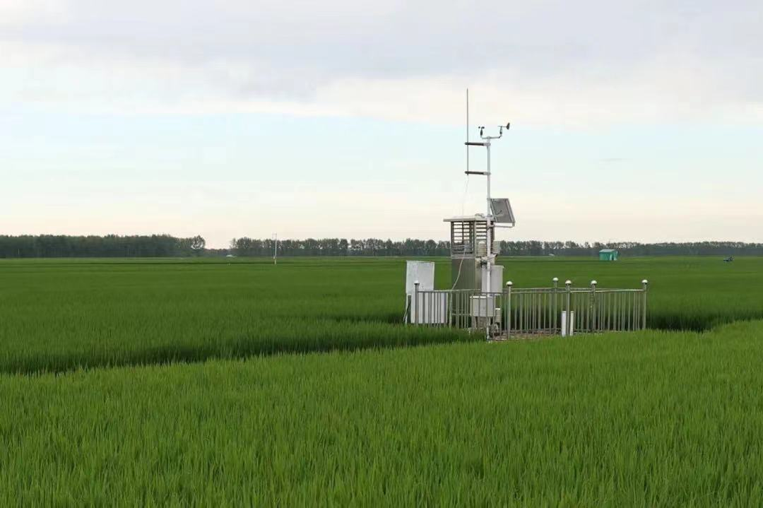 北大荒集團：點燃“數字引擎” 農業航母乘風破浪_fororder_圖片4