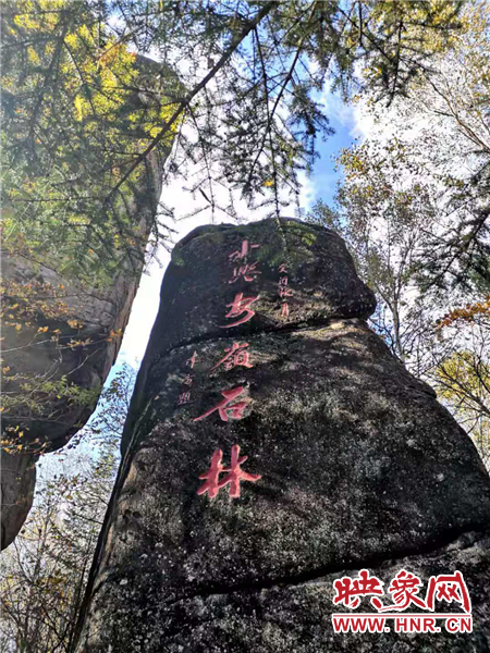【新時代東北振興】“大屯子”變身“旅發地”！林都伊春“綠色振興”踏歌行