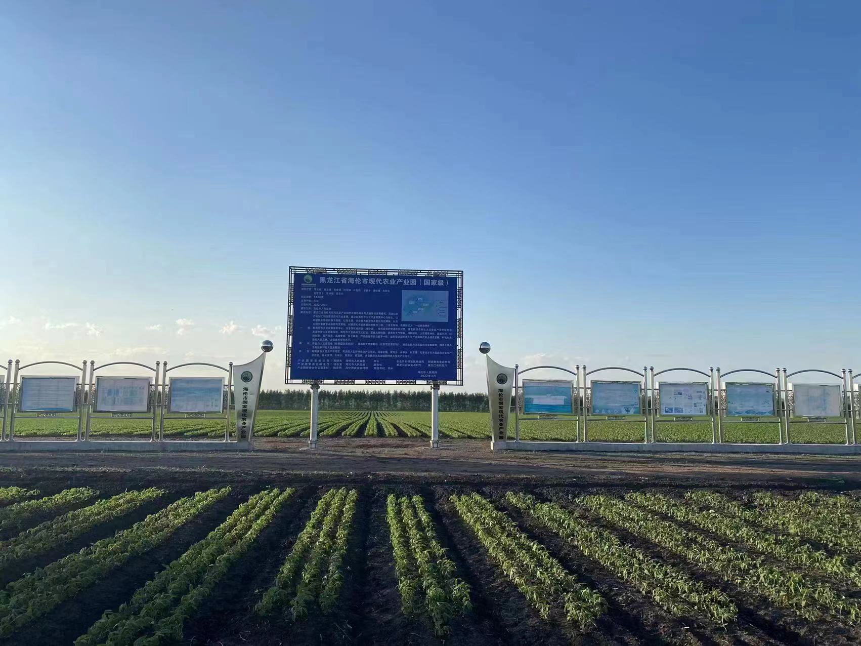 海倫市超額完成今年大豆種植任務指標_fororder_微信圖片_20230414111826