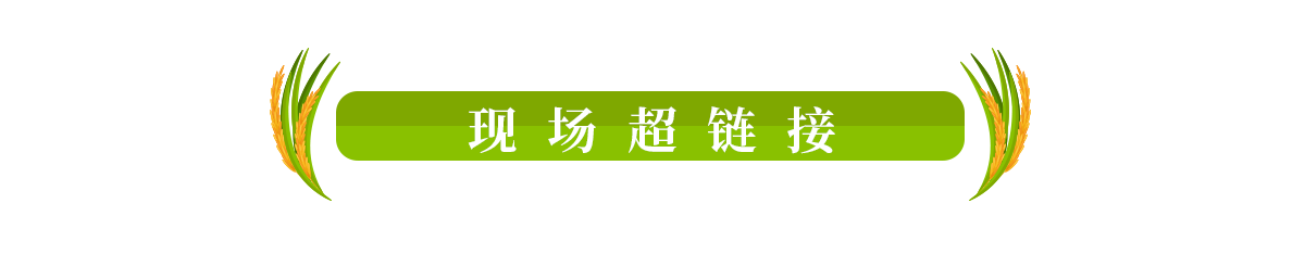 現場超連結banner_fororder_0807慶安專題頁-超連結1200x234