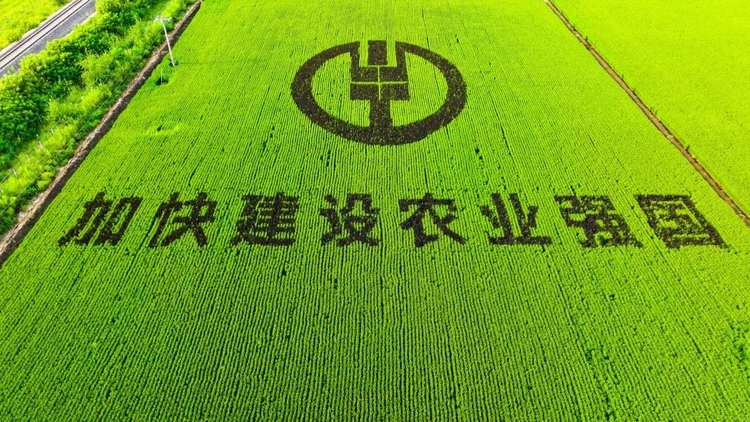 圖片默認標題_fororder_圖片4