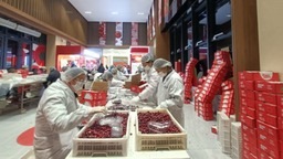 源源不斷金融“活水”助力東極“特産”出圈