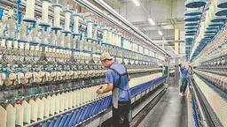 綏化製造：增“智”向新 逐“綠”而行