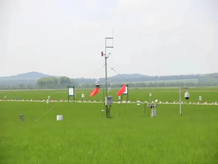 北大荒農業股份八五九分公司：加強氣象監測 做好夏管“晴雨錶”