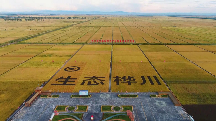 金融服務實體經濟|人保財險黑龍江分公司：全面助力農業現代化 護航低空經濟加速“起飛”_fororder_圖片1
