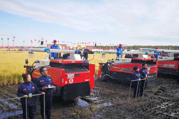 秋收生産戰役打響！“中國農民豐收節”水稻開鐮儀式舉行