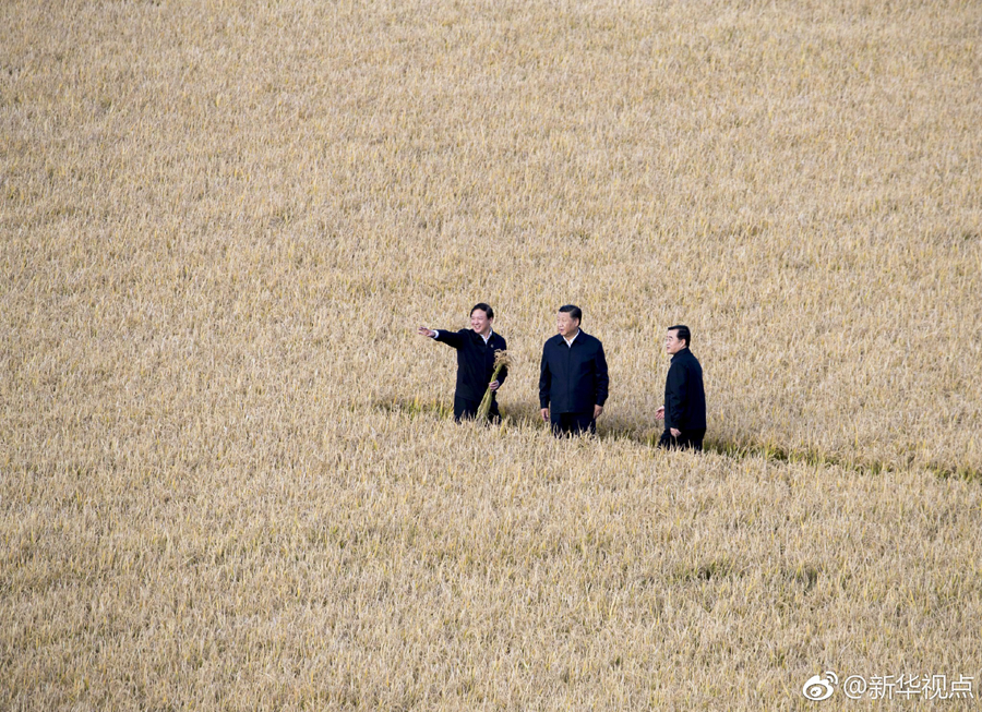 【焦點圖】習近平在黑龍江考察，首站來到建三江