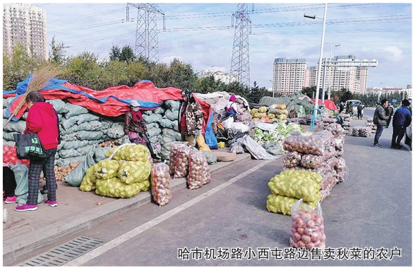 哈爾濱秋菜搶手價格上漲一倍 原因多