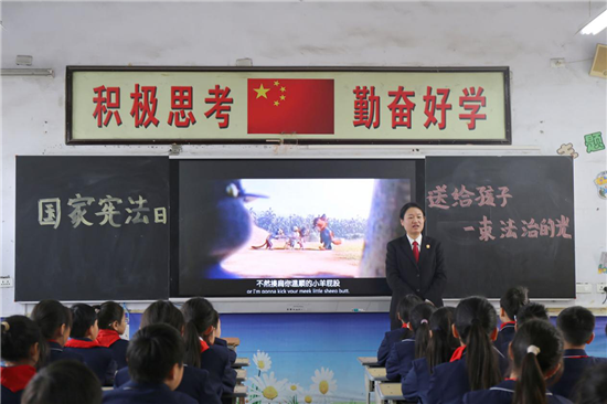 焦作市武陟縣法院：“憲”進校園 法護成長