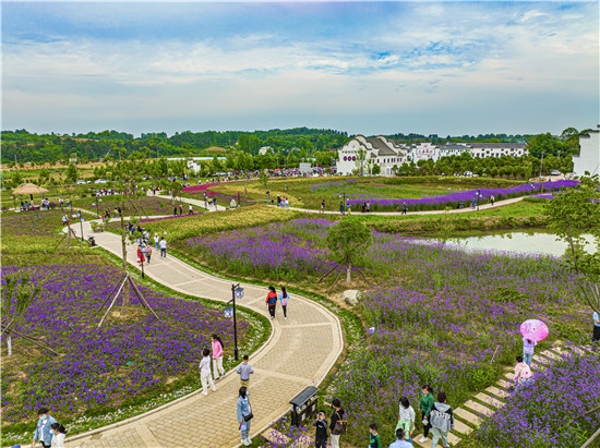 信陽市光山縣東嶽村：一根網線牽出小山村大變化