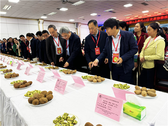 南陽西峽：區域協同促創新 匯選優品促發展