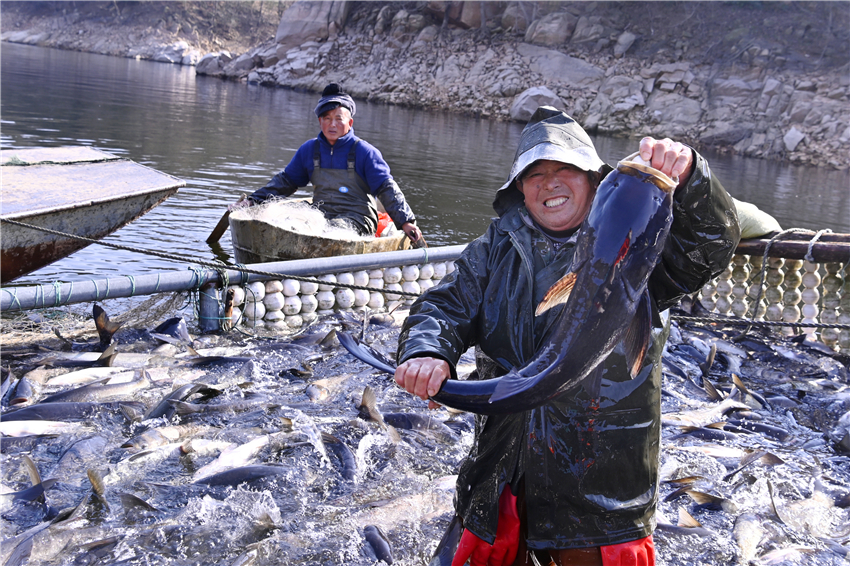 信陽市新縣：魚躍人歡慶豐年