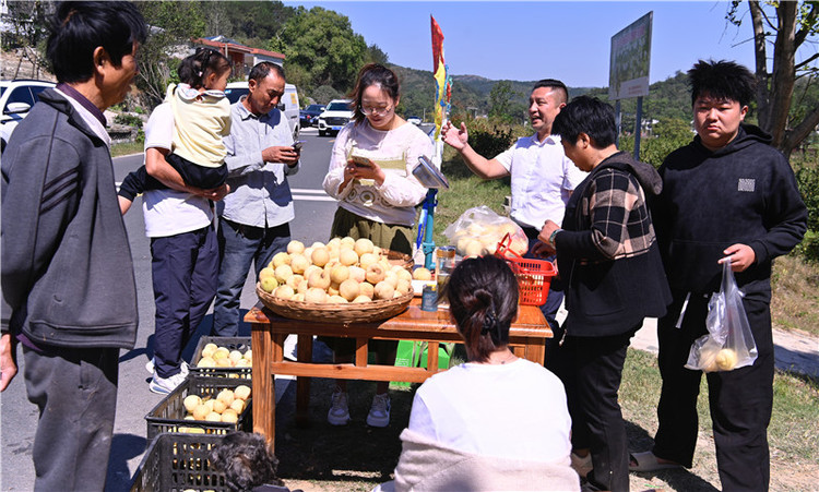 信陽新縣：冬桃飄香 致富有路