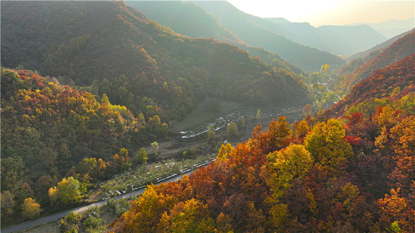 最美的秋丨三門峽靈寶市：斑斕秋色浸染山林勝境