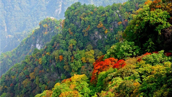 最美的秋丨三門峽靈寶市：斑斕秋色浸染山林勝境