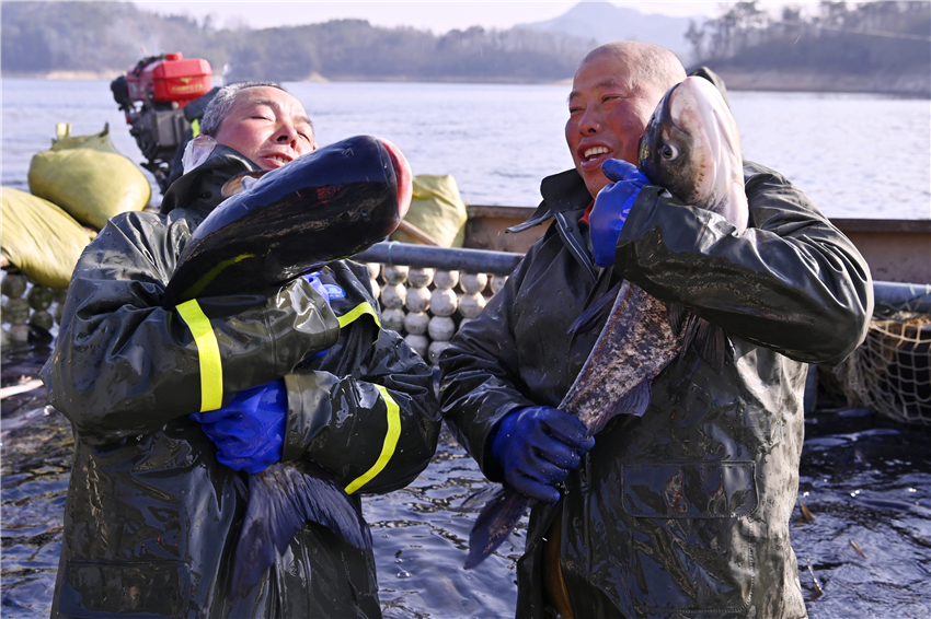 信陽市新縣：魚躍人歡慶豐年