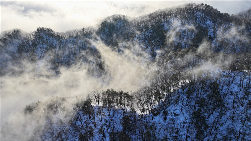 平頂山市魯山縣：初雪雲海成詩畫 堯山盛景醉賞客