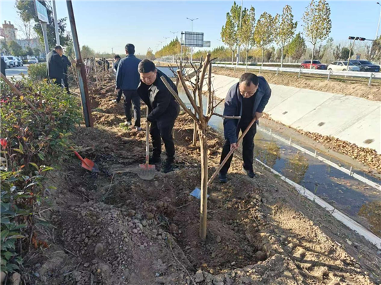 濮陽市臺前縣後方鄉：增綠補綠優環境 繪就和美鄉村新畫卷