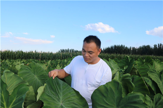 （有修改）【B】平頂山市魯山縣駐村工作隊隊長賀站輝：貧困戶信賴的好幹部