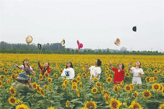 【B】河南寶豐：花開似海鋪就致富小康路