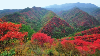 【豫見國際-圖片（頁面標題：陜州：傳承創新促發展）】陜州：傳承創新促發展 勇立潮頭唱大風