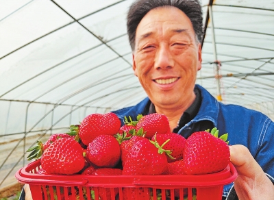 【河南好項目-圖片】好項目助農脫貧致富