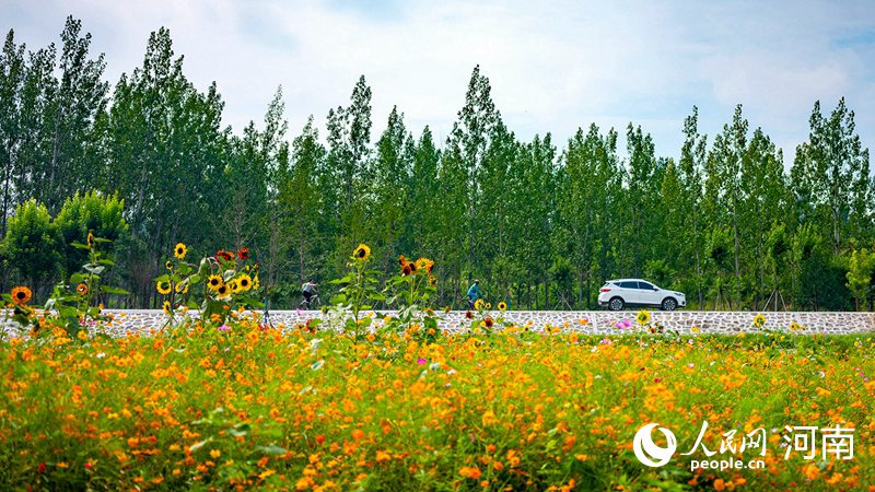 【城市遠洋】河南三門峽：築牢黃河生態屏障