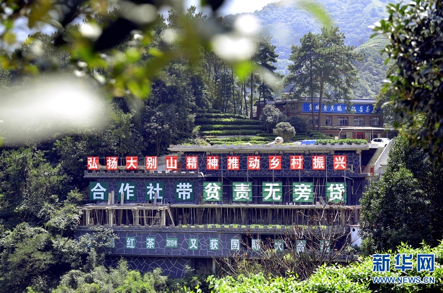 【城市遠洋】河南商城：擦亮紅色老區底牌 走出綠色發展路子