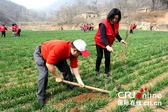 【河南在線-文字列表】【移動端-新聞列錶帶圖】鄭州市金水區紅十字會為貧困村栽下愛心樹