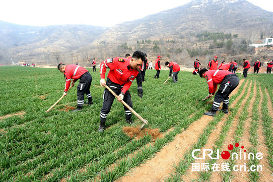 【河南在線-文字列表】【移動端-新聞列錶帶圖】鄭州市金水區紅十字會為貧困村栽下愛心樹