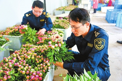 【中原巨變 標題列表】鄭州海關：打造內陸強關助力中原崛起