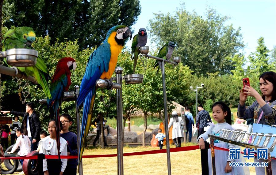 【親子】河南鄭州：“親近動物”樂趣多