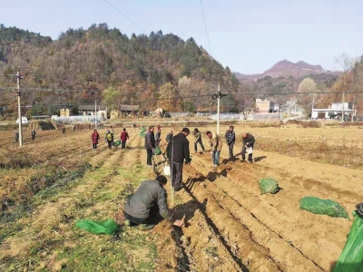 【河南在線-文字列表】【移動端新聞-圖片列表】今年年底三門峽將提前一年實現電網脫貧