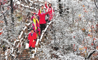 【中原名景-圖片】玉山亙野瓊林分道