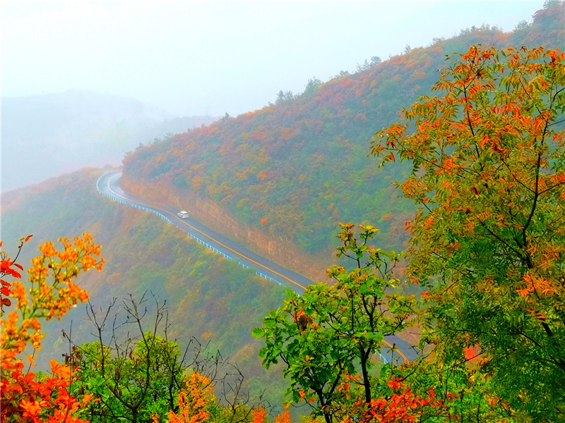 【B】三門峽市澠池縣第八屆紅葉文化旅遊節開幕