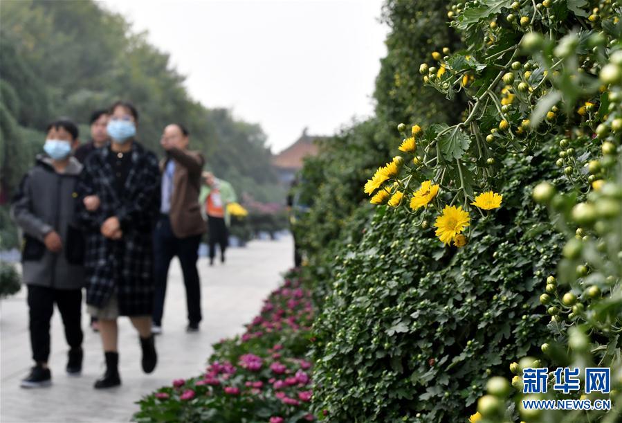 【城市遠洋】河南開封：古城菊香迎客來