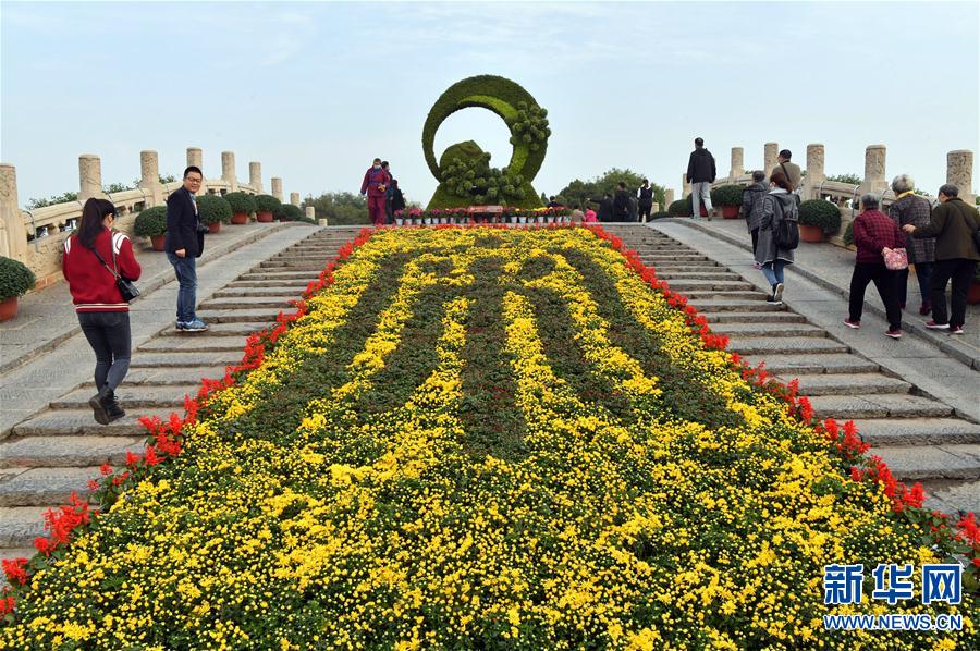 【城市遠洋】河南開封：古城菊香迎客來