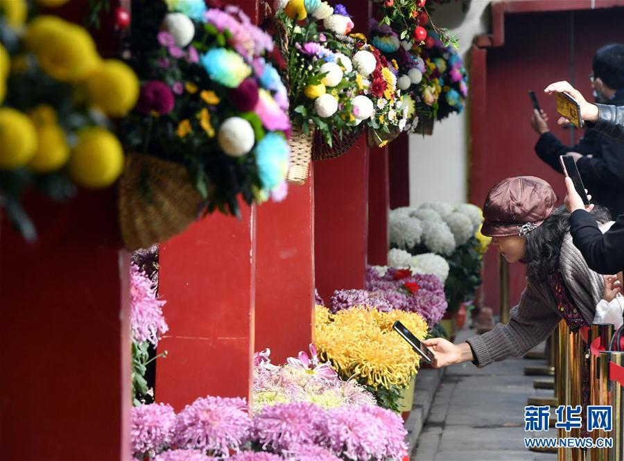 【城市遠洋】河南開封：古城菊香迎客來