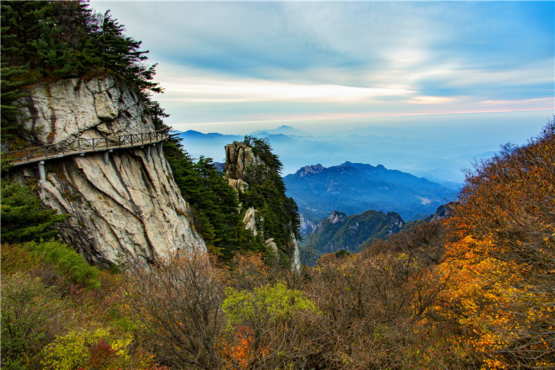 （有修改）【圖片稿件】河南魯山：紅葉觀賞正當時