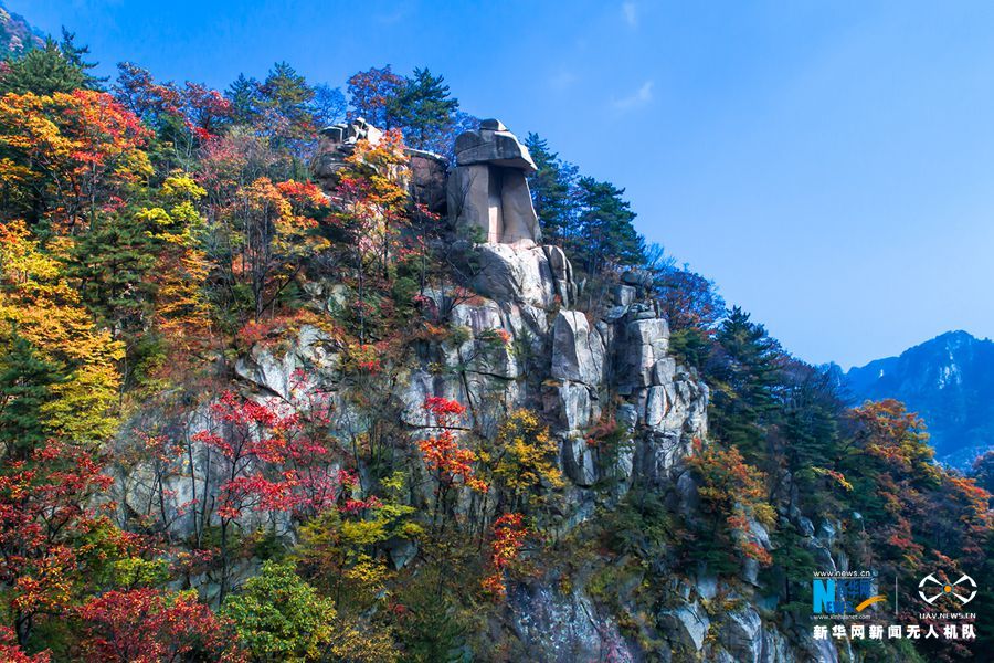 【城市遠洋】河南魯山：醉美堯山層林盡染