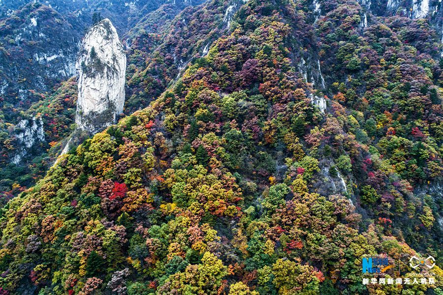 【城市遠洋】河南魯山：醉美堯山層林盡染