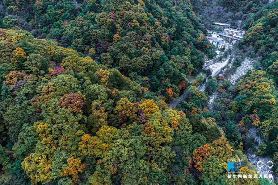 【城市遠洋】河南魯山：醉美堯山層林盡染