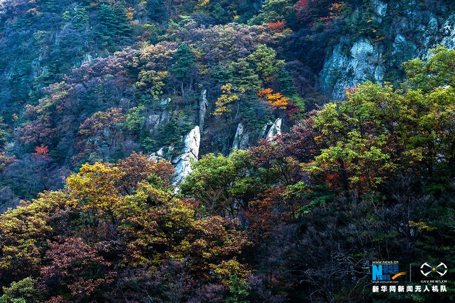 【城市遠洋】河南魯山：醉美堯山層林盡染