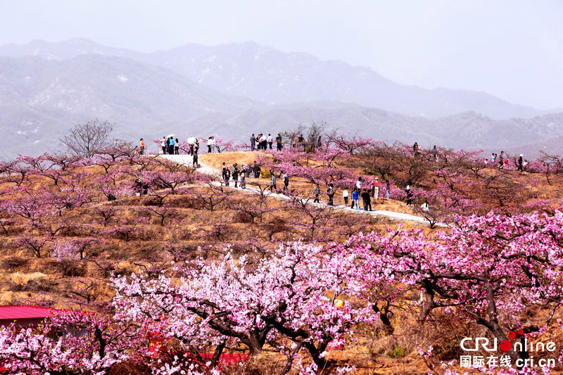 【焦點圖-大圖】【移動端-焦點圖】【圖説2】平頂山魯山發展農家樂 文化旅遊促增收