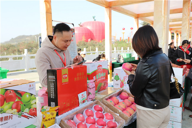 河南省靈寶市第十四屆金城果會開幕_fororder_山東客商向遊客推介蘋果 攝影 張蕓曦.JPG