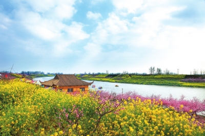 【旅遊資訊-圖片（頁面標題：週口西華：萬畝桃花灼灼開）】週口西華：萬畝桃花灼灼開 含苞滿枝待君來