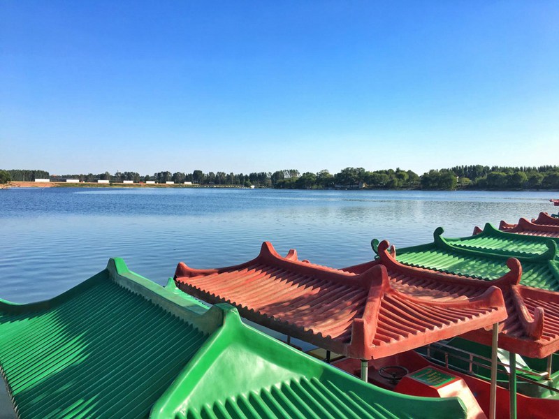 許昌長葛：雙洎河國家濕地公園芳容初露